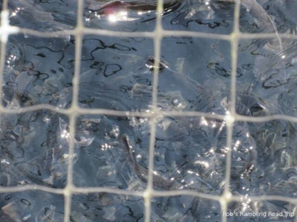 r3t2018-06-07_21-003