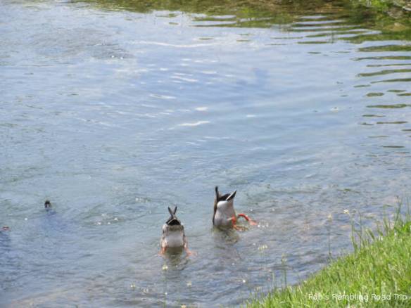 r3t2018-06-07_21-005