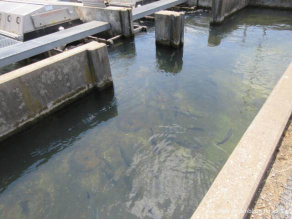 r3t2018-06-07_21-007