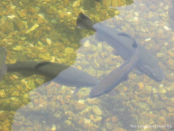 r3t2018-06-07_21-008