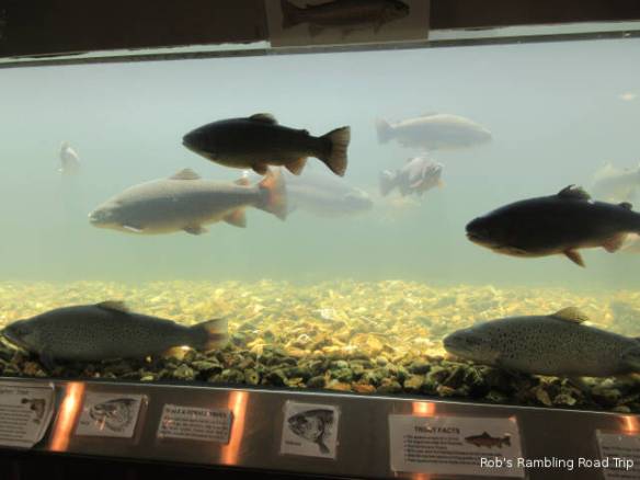 r3t2018-06-07_21-009