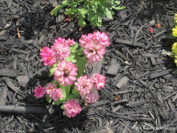 r3t2018-06-08_20-491