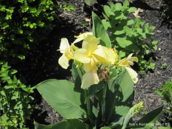 r3t2018-06-09_20-451