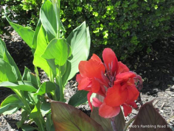 r3t2018-06-09_20-452