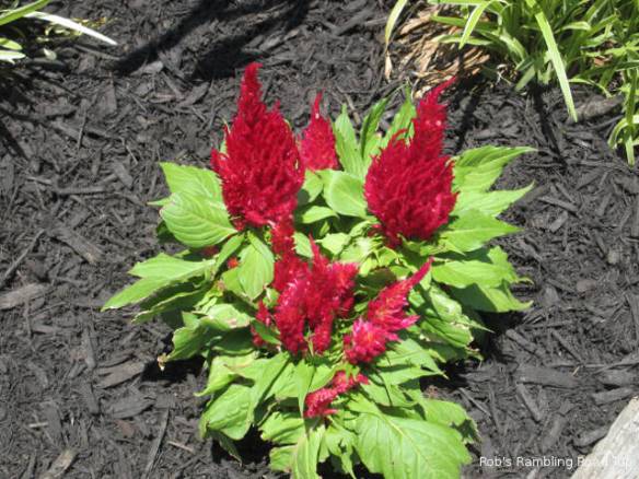 r3t2018-06-09_20-453