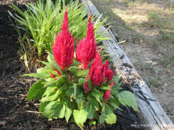 r3t2018-06-10_21-351