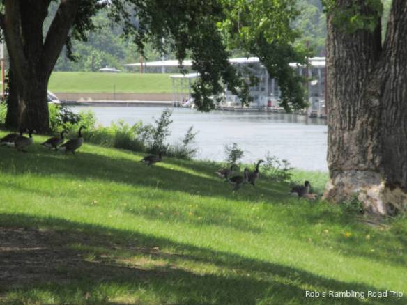 r3t2018-06-12_19-381