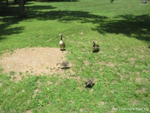 r3t2018-06-14_21-291