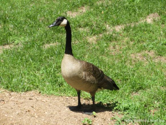 r3t2018-06-14_21-292