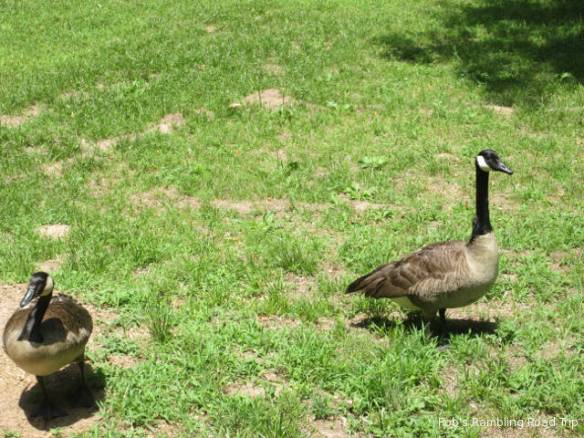 r3t2018-06-14_21-293