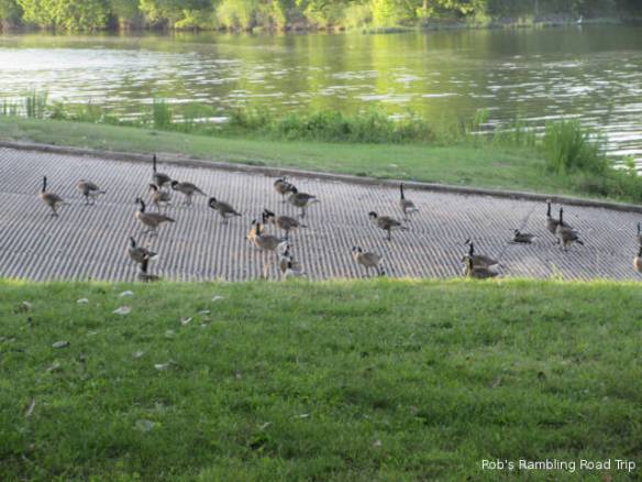 r3t2018-06-15_20-215