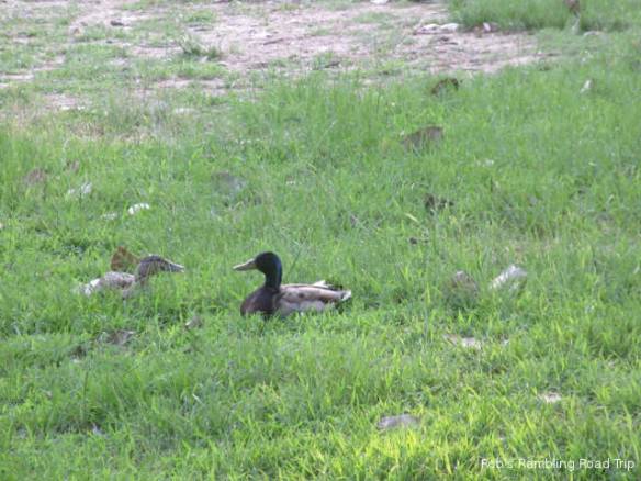 r3t2018-06-15_20-216