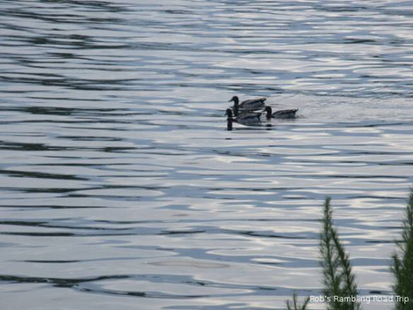 r3t2018-06-16_20-386