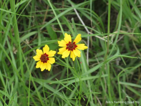 r3t2018-06-17_19-412