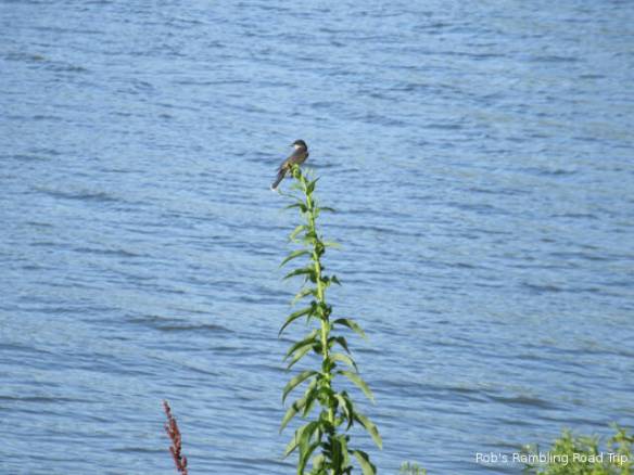 r3t2018-06-17_19-413