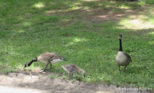 r3t2018-06-18_20-392