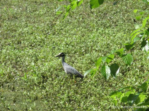 r3t2018-06-19_20-413