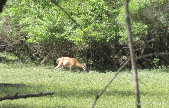 r3t2018-06-19_20-415