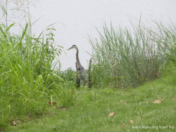 r3t2018-06-20_19-251