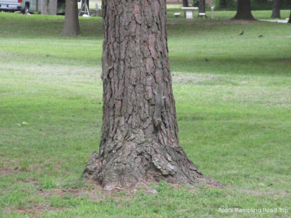 r3t2018-06-20_19-253