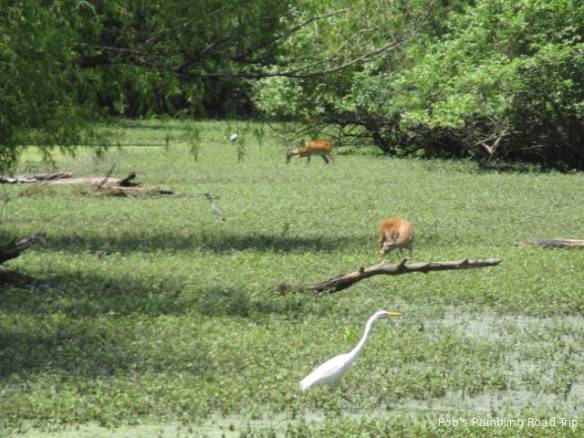 r3t2018-06-21_19-477