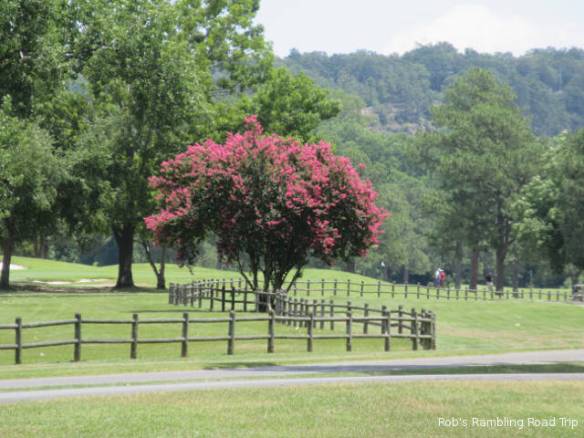 r3t2018-06-22_21-411