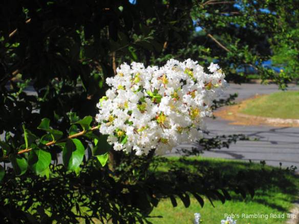 r3t2018-06-22_21-415