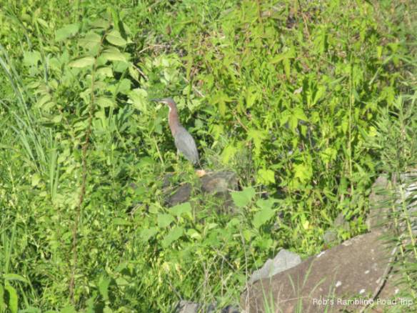 r3t2018-06-24_21-012