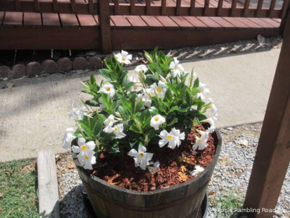 r3t2018-06-26_21-213