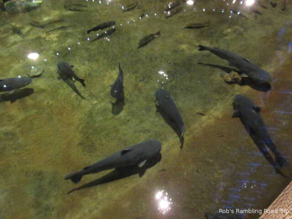 r3t2018-06-27_21-182