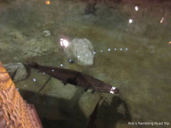 r3t2018-06-27_21-183