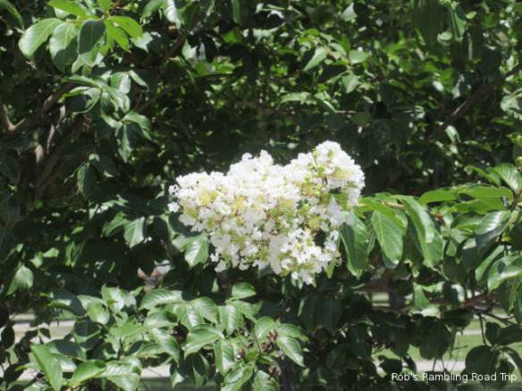 r3t2018-06-28_22-063