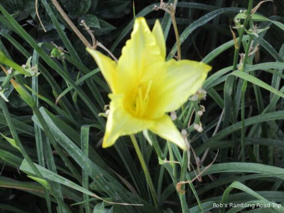 r3t2018-07-01_22-341