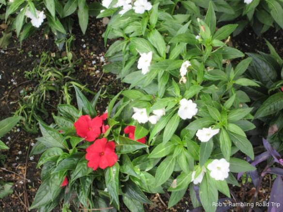 r3t2018-07-02_20-371