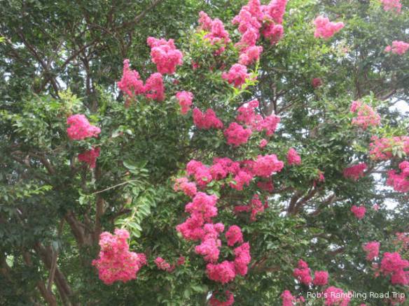 r3t2018-07-02_20-372