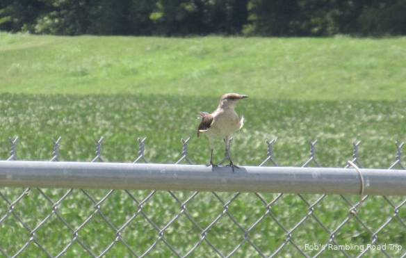 r3t2018-07-03_21-302