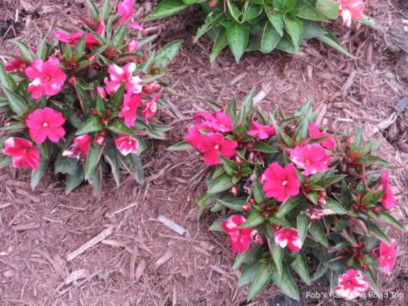 r3t2018-07-03_21-303