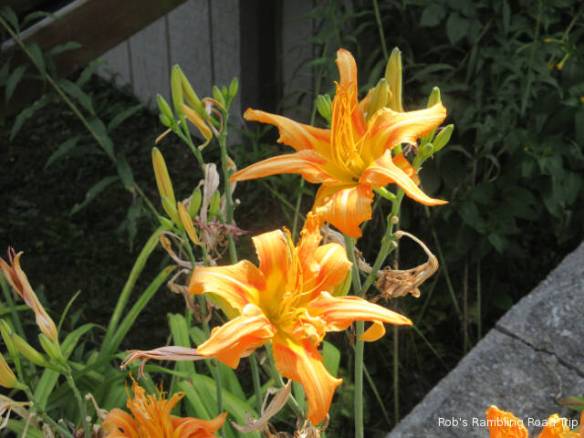 r3t2018-07-05_21-373