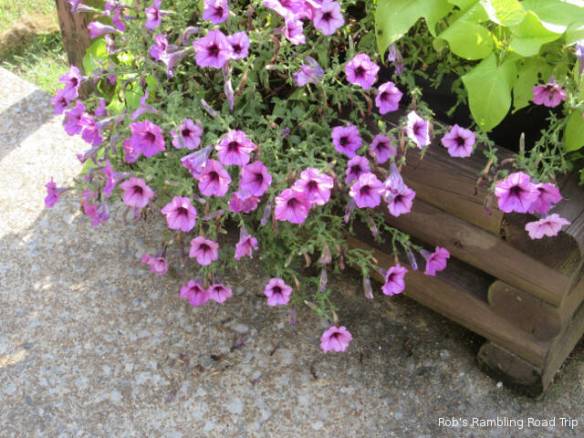 r3t2018-07-06_20-541