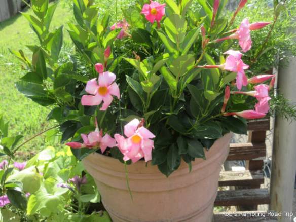 r3t2018-07-06_20-542