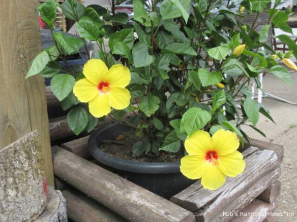 r3t2018-07-07_21-351