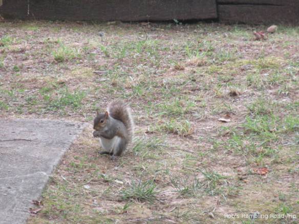 r3t2018-07-08_20-441