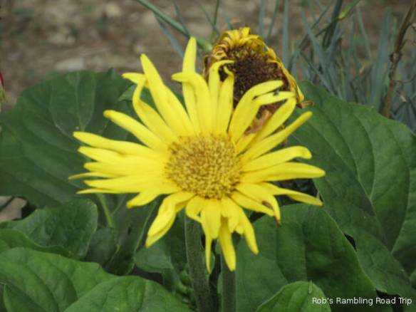 r3t2018-07-08_20-442