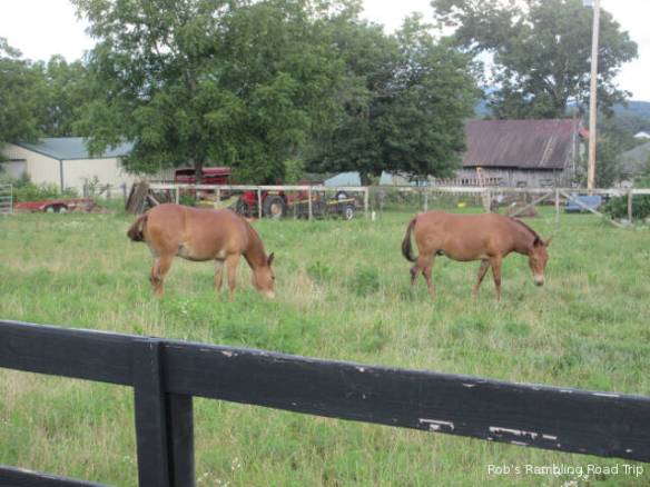 r3t2018-07-09_19-543