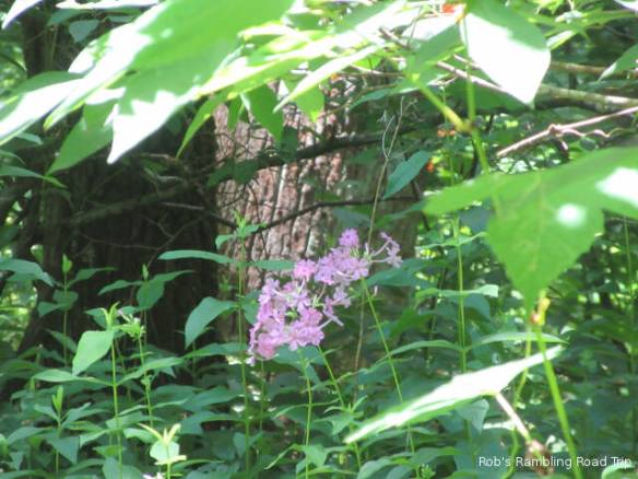 r3t2018-07-12_20-363