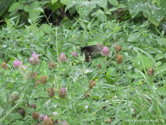 r3t2018-07-14_23-403