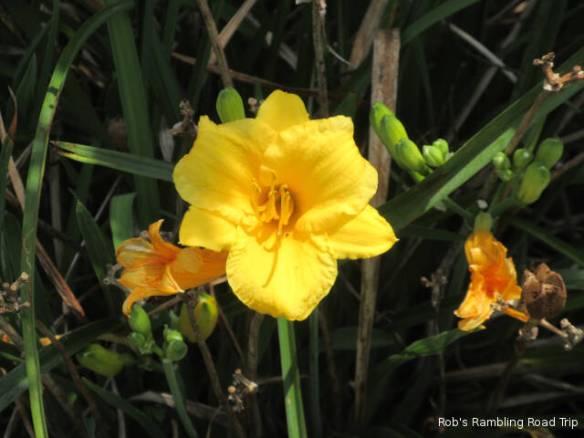 r3t2018-07-15_21-513