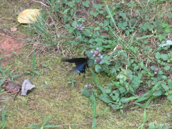 r3t2018-07-17_20-532