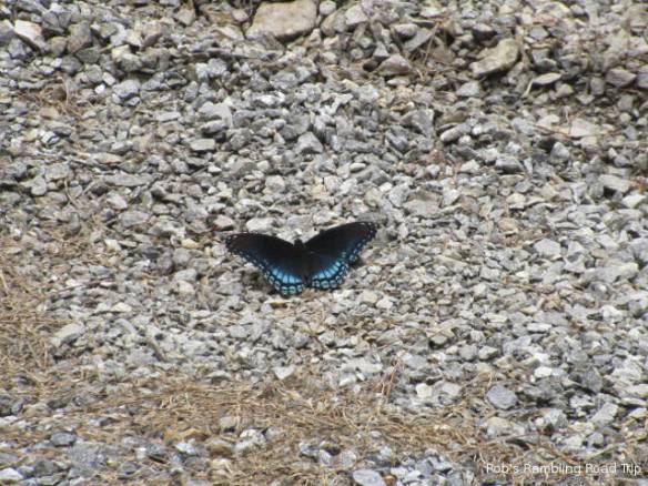 r3t2018-07-17_20-534