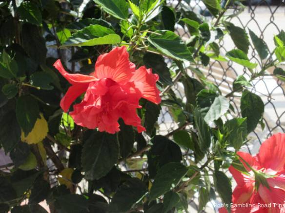 r3t2018-07-18_21-341